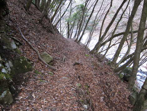 20200110hike (413)